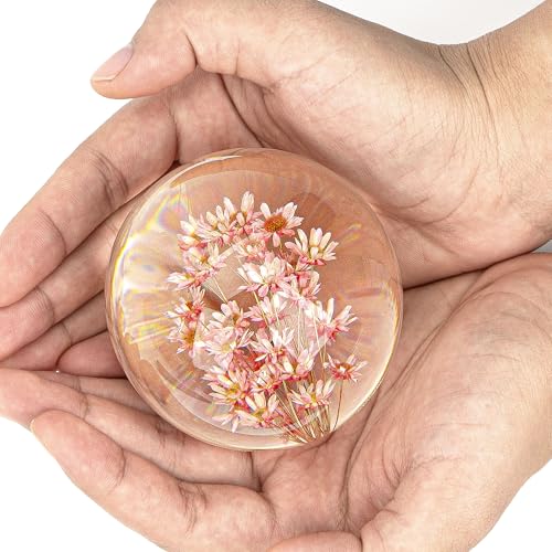 CAIRIAC Crystal Red Daisy Resin Ball, Real Paperweight Specimen Ball Home Office Decor, Resin Daisy Globe for Anniversary Christmas Birthday Wedding Gift (68mm)