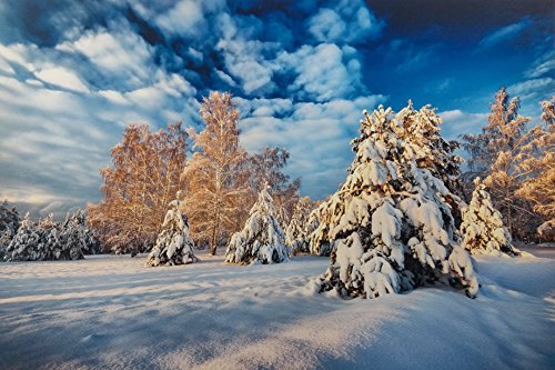 17" X 22" Cold Press Watercolor Fine Art Inkjet Paper - 25 Sheets