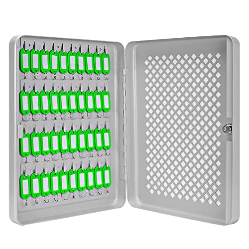 Barska 40-Position Key Cabinet Lock Box with Key Lock – See-Through Door, Numbered Hooks, Green Tags, Wall Mount Steel Organizer for Home, Office, or Property Management