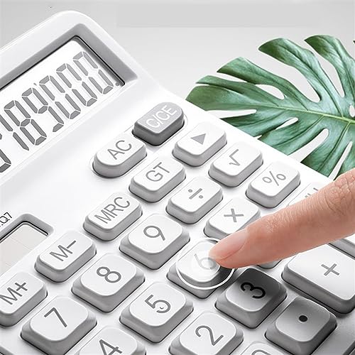 ZHIQISHI Scientific calculatorCalculators Desktop Calculator， Simple Business Dual Power Supply Accounting Desktop Calculator