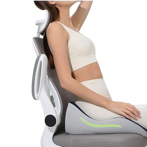 ICWRQLG Lumbar Support Cushion Seat Back Office Prolonged Sitting