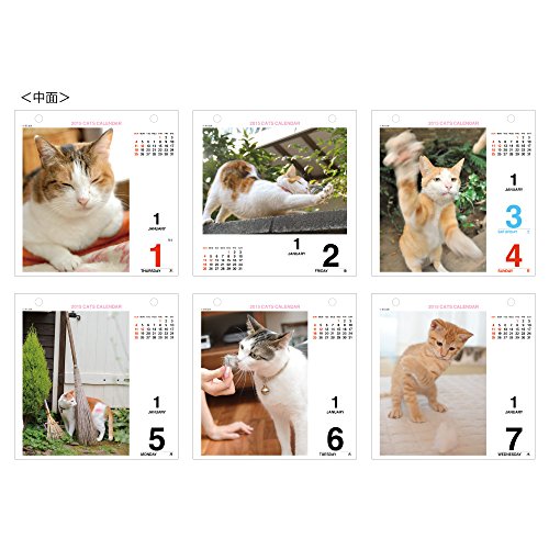 A. P. J. Class of 2015 Calendar nyan 日mekuri Calendar Refill No. 224 1000056602