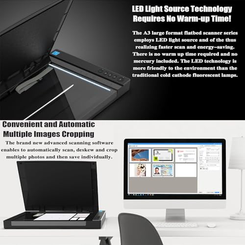 COYEUX Large Format Flatbed Scanner, 2400DPI High Definition Photo Scanner, Scan 12"x 17" in 4 Sec, for Office and Education Support, Supports Windows & iOS