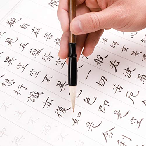 HBJWOV 6pcs/Set Memory Wooden Writing Brushes Pen Traditional Ink Calligraphy Set for Painting Drawing Festival Couplets
