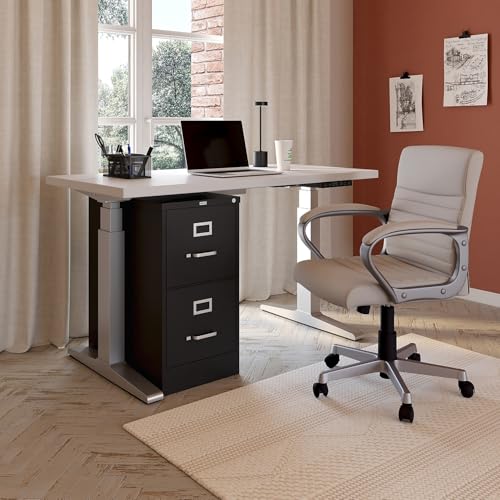Staples 2-Drawer Vertical File Cabinet, Letter Size, Lockable, Black