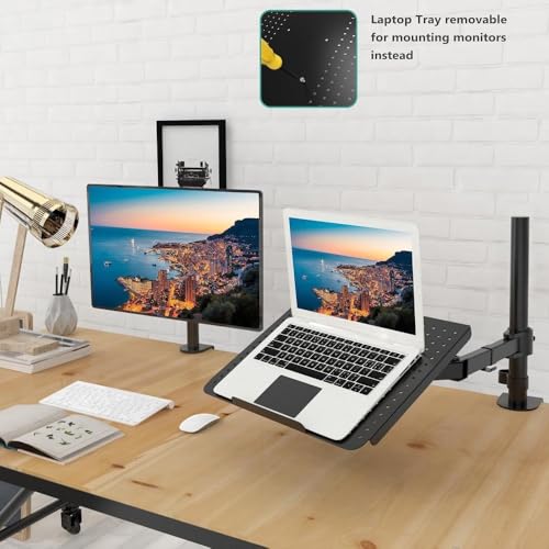 XYWGBMS Monitor Mount Desk, Adjustable Rotating Laptop Stand with Heat Dissipation Function,Monitor Base, Standing Desk Tray, 360° Swivel, Ideal for Office Use Laptop Stand Arm, Stable and Adjustable