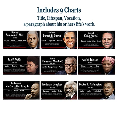 Young N Refined Black Heroes Poster bulletin board set, 9 charts pack Laminated thick 3 mil (18x36)