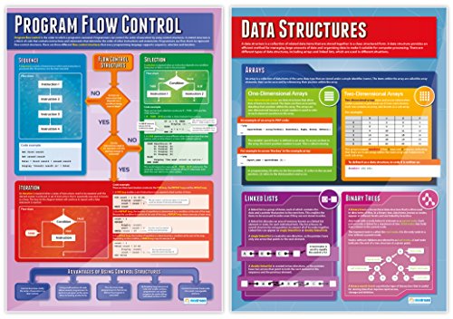 Computer Programming Classroom Posters, Set of 9, EXTRA LARGE 33" x 23.5"