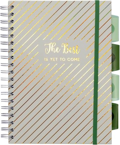 Pukka Pad Haze B5 Notebook – Pack of 12 Wirebound Notebooks with 5 Repositionable Dividers with Storage Pockets and Tabs for Organisation and Personalisation – 200 Pages, 100 Sheets of 80GSM Paper