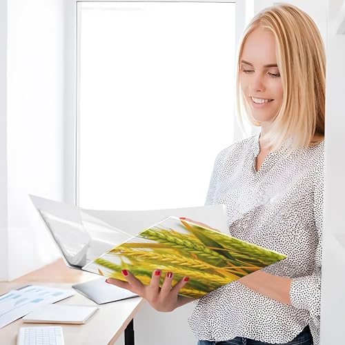 Xpdkjwd Wheat Field Pattern 3 Ring Binder Can Hold 200 Letter Size Binders, Suitable for Home, Office, Dormitory, 2Pcs