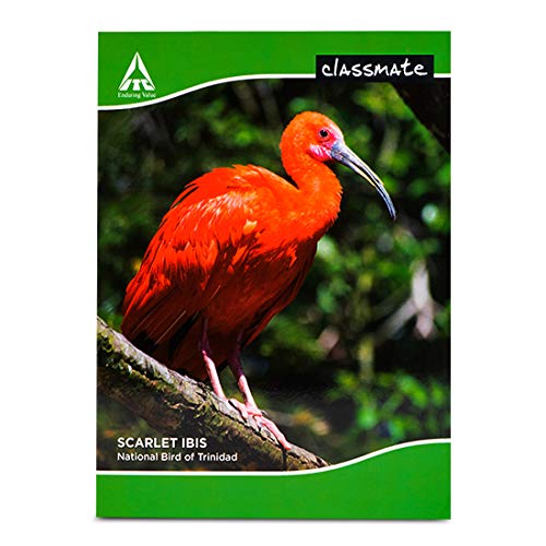 Classmate Notebook 180 Pages(24 X 18cm) Pack of 10