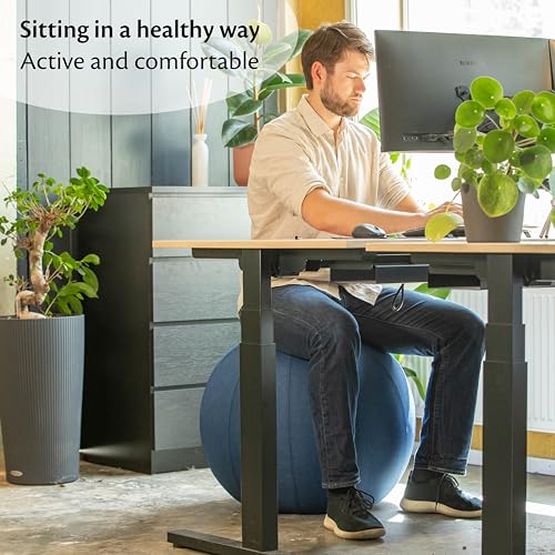 Backerz Balance Ball Chair for Office & Home - Ergonomic Exercise Ball for Posture & Back Pain Relief, Yoga Ball Chair - Sitting Ball with Washable Linen Cover