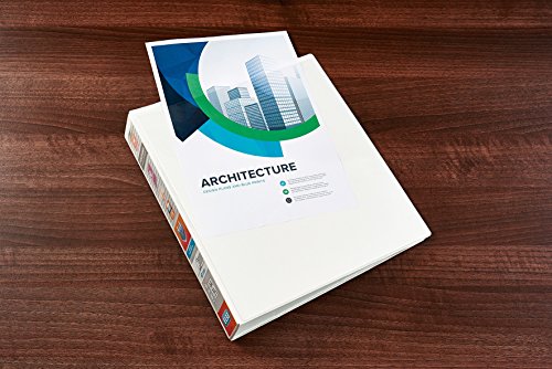 Elba A4 65mm 4 D-Ring Binder, White (Single)