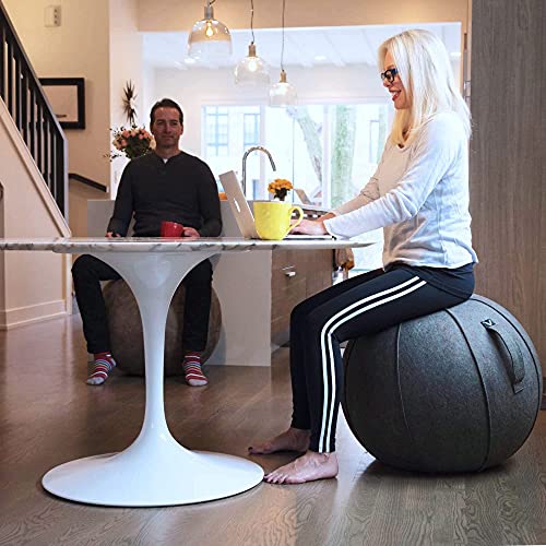 Vivora Luno Premium Ergonomic Sitting Ball Chair, Anthracite Cover, Felt, Max Size (25 to 26 inches), for Home Offices, Balance Training, Yoga Ball, Posture Improvement