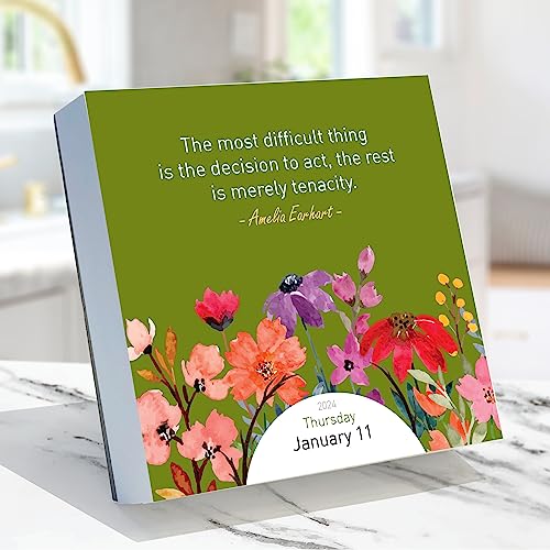 TF PUBLISHING 2024 Seize the Day Daily Desktop Calendar | Home and Office Organization | Small Desk Top Calendar | Full-Color Tear-Off Pages | Standing Fold-Out Cardboard Easel for Desks | 5.25”x5.25”