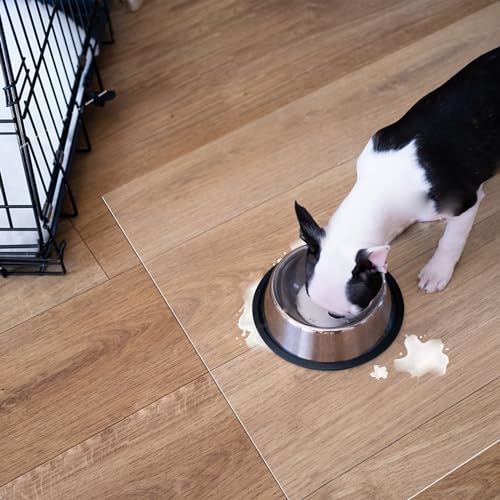 WHWM Large Clear Floor Mat 118.1" x 47.2" - Pet Flooring Protector, Clear Plastic Rug Protector, Vinyl Floor Mat - Ideal for Hardwood Floors, Home & Office Use - Waterproof and Easy to Clean