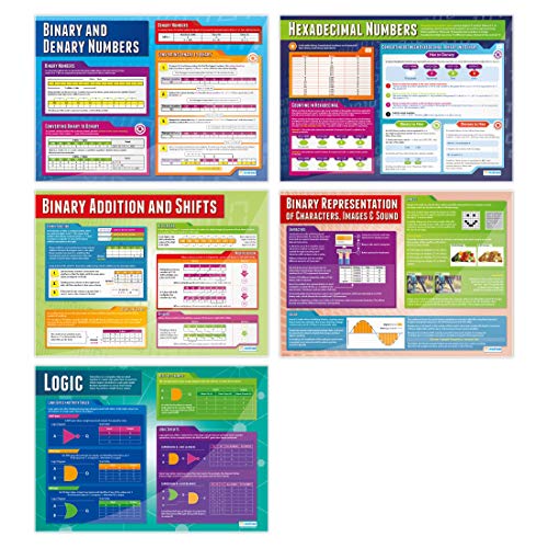 Daydream Education Data Representation Posters - Set of 5 | Computer Science Poster | Laminated Gloss Paper measuring 33” x 23.5” | STEM Posters for the Classroom | Education Charts