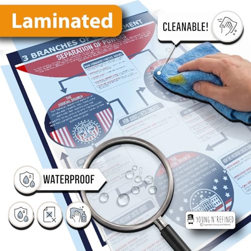 XXL Learning Three Branches of Government chart Plastic poster for classroom clear teaching tool for schools Young N Refined (36x54)