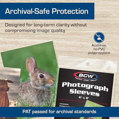 BCW 6x8 Photo Sleeves - 1000 Pack | Archival Photo Sleeves for Art, Postcards & Photos | Acid-Free, No PVC | Archival Quality for Storage & Display