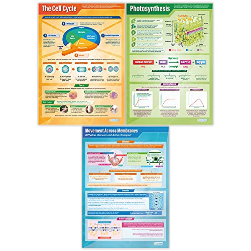 Biology Science Classroom Posters, Set of 13, EXTRA LARGE, 33" x 23"