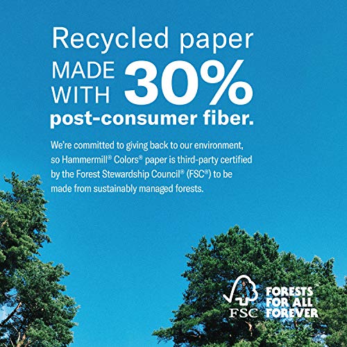 Hammermill Colored Paper, 20 lb Salmon Printer Paper, 11 x 17 - Made in the USA, Pastel Paper, 102103R - 1 Ream (500 Sheets)