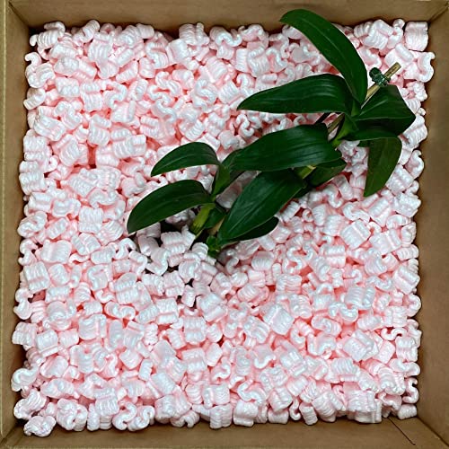 StarBoxes Anti Static Packing Peanuts, 6 Cu. Ft., White (PEANUTATI006)
