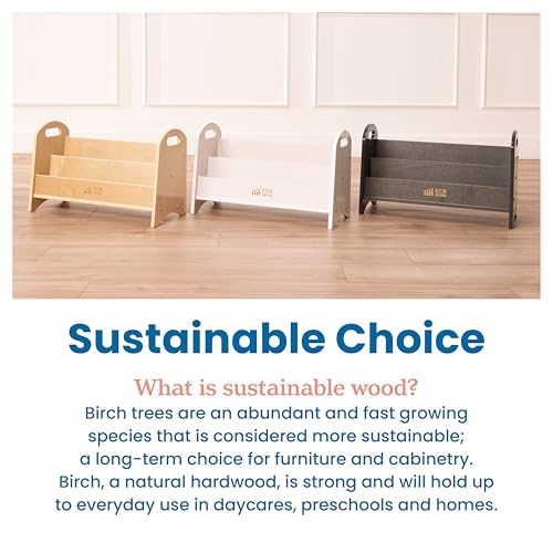 ECR4Kids 2-Shelf Tabletop Wooden Book Display with Handles, White Wash