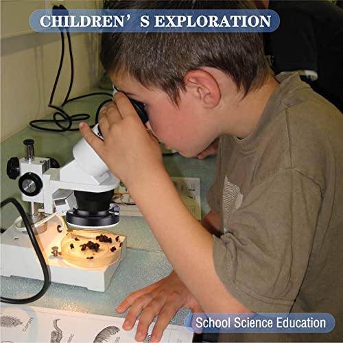 TreochtFUN Microscope Light 144 Led Ring Illuminator Beads