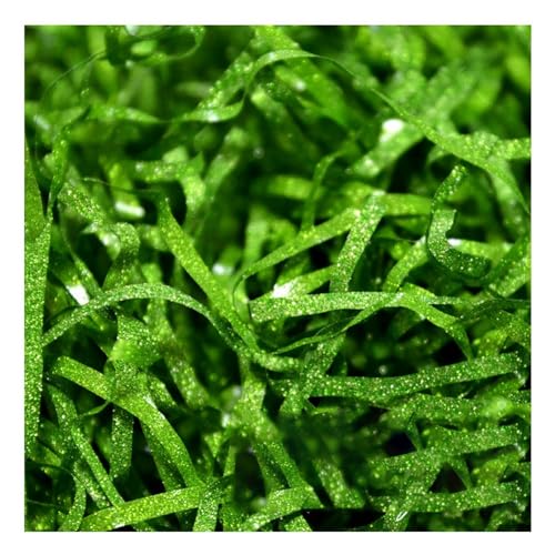 High-Strength Paper Filament Shredded Tissue Paper