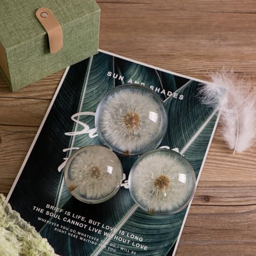 Paperweight Dandelion Dream Ball. Crystal Wishing Ball. Unique Paperweight Made of Dandelion. Gift for Women Men (Mom, Dad, Teacher), Birthday, Wedding, Valentine's Mother's. (8CM)