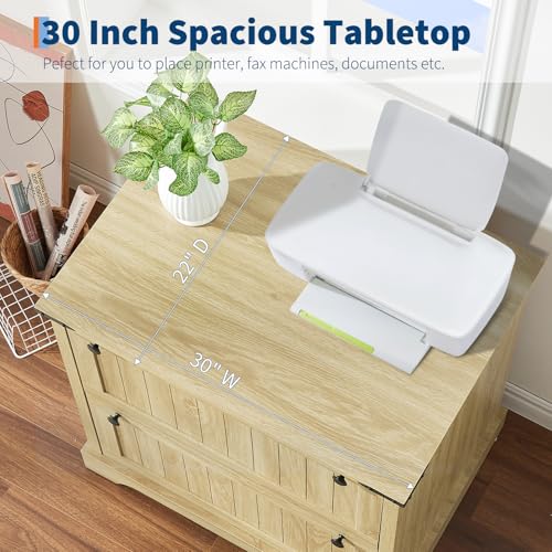 Hoguyexila 2 Drawer Farmhouse Lateral File Cabinet for Home Office