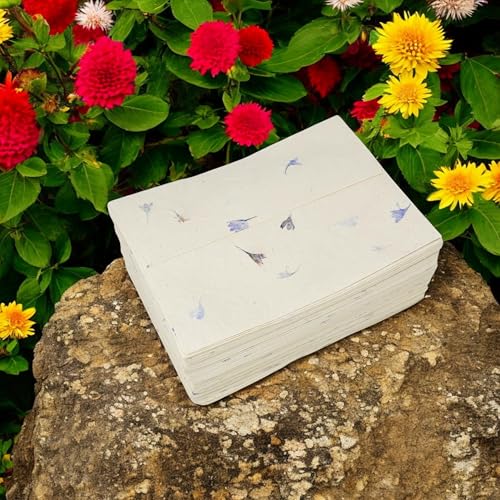 Kathmandu Valley Co. Lokta Envelopes for 5x7 Cards, Cornflower (100 Pack)