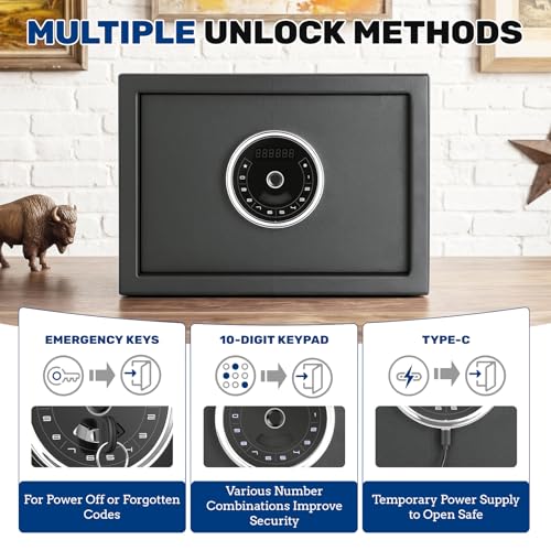BlackSmith Auto-Open Biometric Safe Box 1.0 cu ft, 508 DPI 0.1s, Nightstand