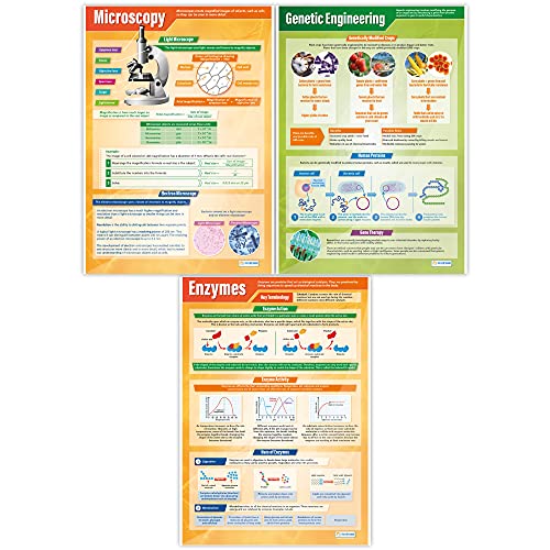 Biology Science Classroom Posters, Set of 13, EXTRA LAGE 33" x 23.5"
