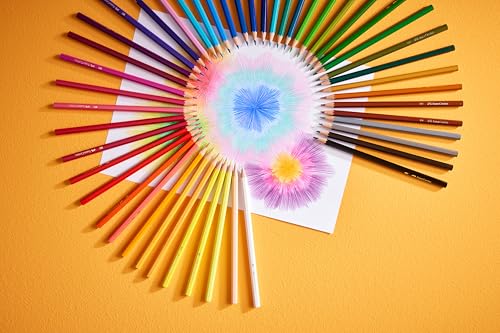 Faber-Castell Classic Colored Pencils Tin Set, 48 Vibrant Colors In Sturdy Metal Case | Back to School Supplies