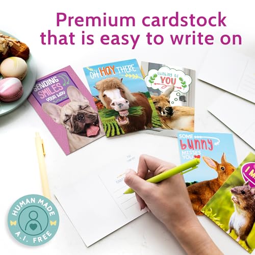T MARIE 120 Postcards - Bulk Pack Postcards for Kids, Family, Friends, Students, Teacher, Summer Camp and More - Say Hello, Thinking of You, Thank You or I Miss You with Funny Animals and Punny Cartoons