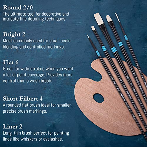 Princeton Aspen 6500 Series 5pc Professional Paint Brushes for Acrylic Painting - Synthetic Oil, Gouache, and Acrylic Paint Brushes Set - Filbert Striper Flat & Round Set of Art Brush