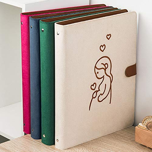 File Organizer Colored Flannel Folders Document Filing Storage Report Presentation Folder Holds 100 Sheets of Paper Suitable for Business or School Colored File Folders (Color : E) (E)
