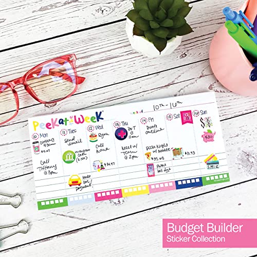 Bulk Budget Planning Stickers, Case of 50 Sticker Sets, 772 Stickers Per Set, Bill Due Date Reminders, Expense Tracking, Savings Goals, Auto Expenses, Holiday Spending, Eating Out