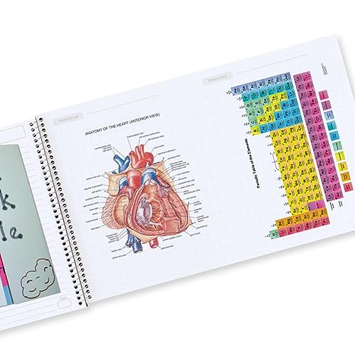 Five Star Interactive Notetaking Spiral Notebooks, 6 Pack, 1 Subject, Wide Ruled Paper, 11" x 8-1/2", 100 Sheets, Fire Red, Harvest Yellow, Forest Green, Pacific Blue, Amethyst Purple, Black (920003)