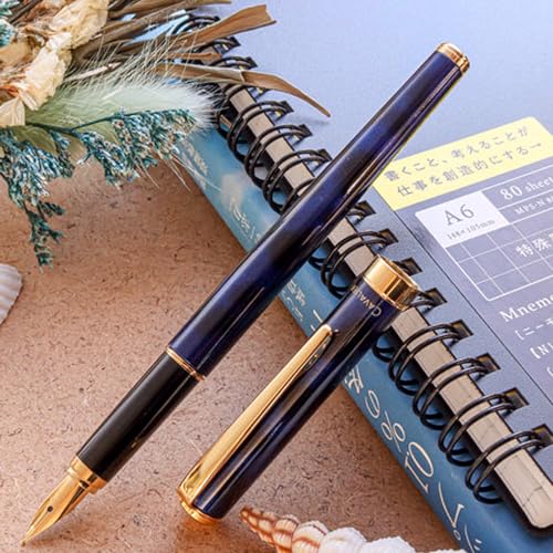 Pilot Marble Fountain Pen, Black&Blue (FCAN-5SR-BL-F)
