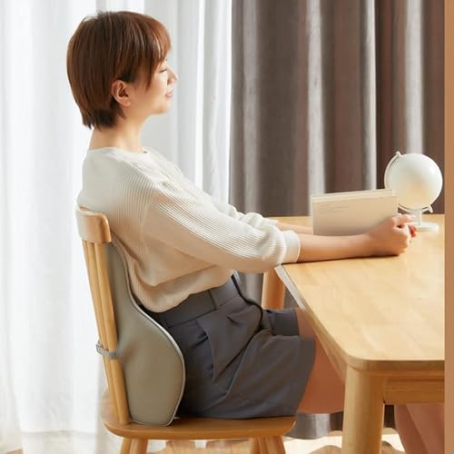 GFHSKRPL Memory Foam Lumbar Support Cushion for Back Waist Orthopedic Pillow Office Chair Car Seat Massage Pad
