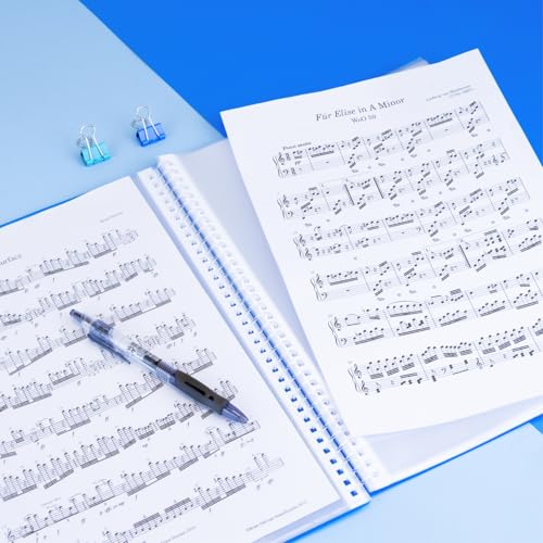 Raylu Paper® Binder with Ring Binder with Transparent A4 90 Micron Sleeves and Envelope with Velcro Closure, Customisable Cover. 100% Biodegradable Binder (20 Pockets, Violet)