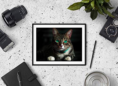(8.5-x-11-inch) 100 Sheets Professional Quality Premium Luster Inkjet Photo Paper 10.4mil 260gsm For Beautiful Easy Prints From Your Printer