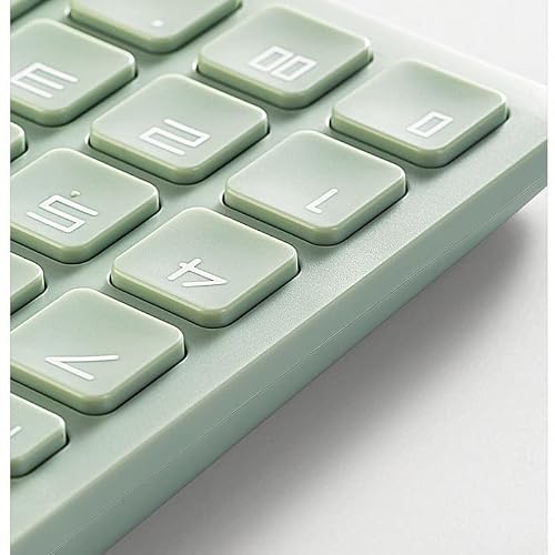 DUYHBAWRS Calculator Fashion Calculator 12-bit Large Screen Personality Large Calculator Solar Financial Accounting Office Special Calculator(D)