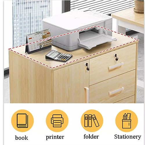 SGeneE Modern Mobile File Cabinet, Furniture Stockpile, Matériau MDF, Printer Stand, for Home Office Commercial-Grade (White 37x37x55cm)
