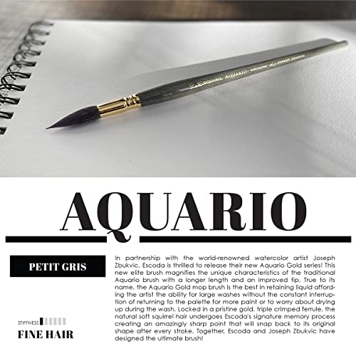 Escoda Aquario Gold Series 1140 Joseph Zbukvic Artist Watercolor and Acrylic Paint Brush, Short Handle, Round Mop, Petit Gris Natural Squirrel Hair (Size 20)