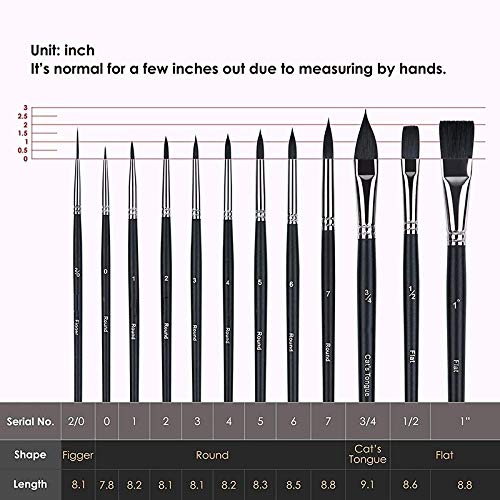 saditesdk 12PCS Professional Watercolor Paint Brushes Set Artist Synthetic Fine Squirrel Brush Round Tip for Detail, Gouache, Acrylic, Oil