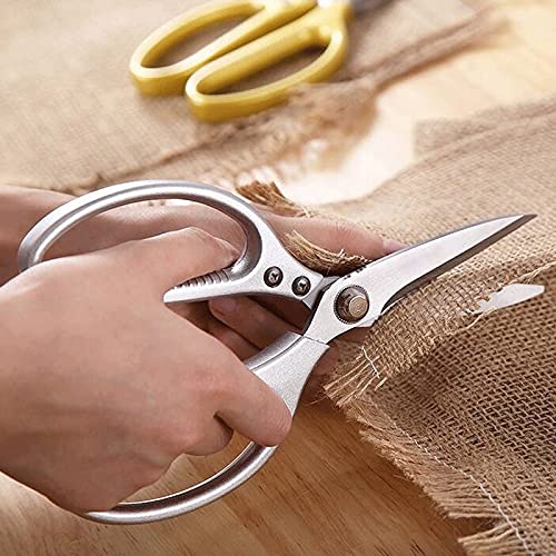 DSWMY Craft Scissors, Craft Scissors Embroidery Stainless Steel for Needlework Artwork and Everyday Use