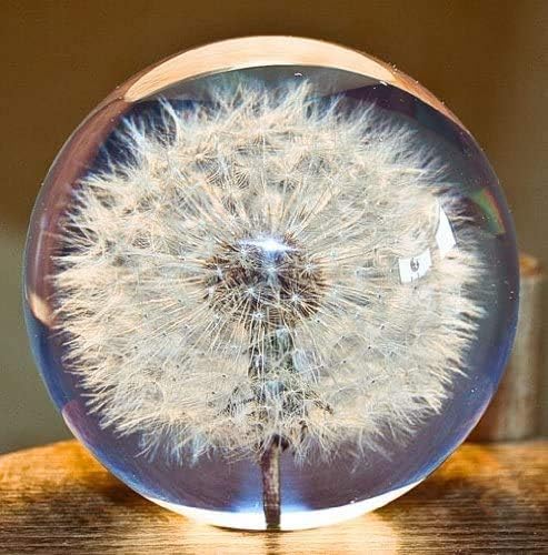 Paperweight Dandelion Dream Ball. Crystal Wishing Ball. Unique Paperweight Made of Dandelion. Gift for Women Men (Mom, Dad, Teacher), Birthday, Wedding, Valentine's Mother's. (8CM)